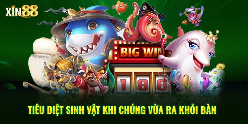 Khám phá Bắn Cá Tiểu Tiên tại Xin88 với đồ họa đẹp và vũ khí đa dạng 4 bắn cá tiểu tiên 4