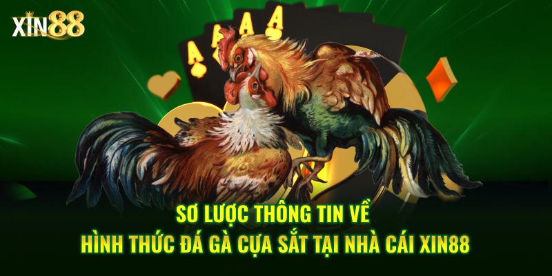 Đá gà cựa sắt tại Xin88 – Trải nghiệm đấu trường chiến kê gay cấn 2 đá gà cựa sắt 2
