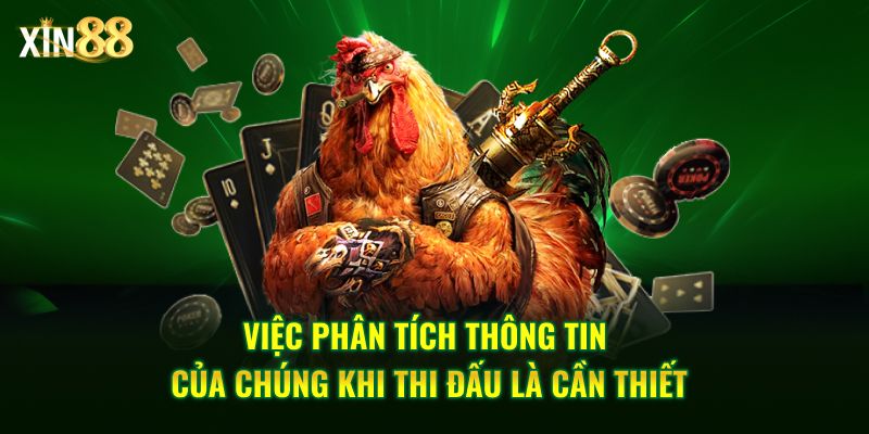 Đá gà cựa sắt tại Xin88 – Trải nghiệm đấu trường chiến kê gay cấn 4 đá gà cựa sắt 4