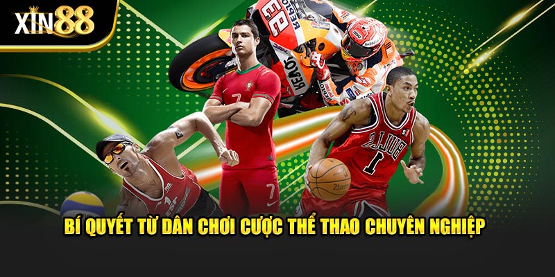 IM Sports tại XIN88 cá cược thể thao linh hoạt giao diện dễ dùng 4 IM Sports 4