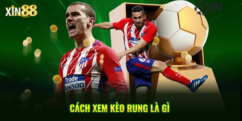 Kèo rung là gì? Hướng dẫn cách bắt kèo hiệu quả tại Xin88 3 kèo rung là gì 3