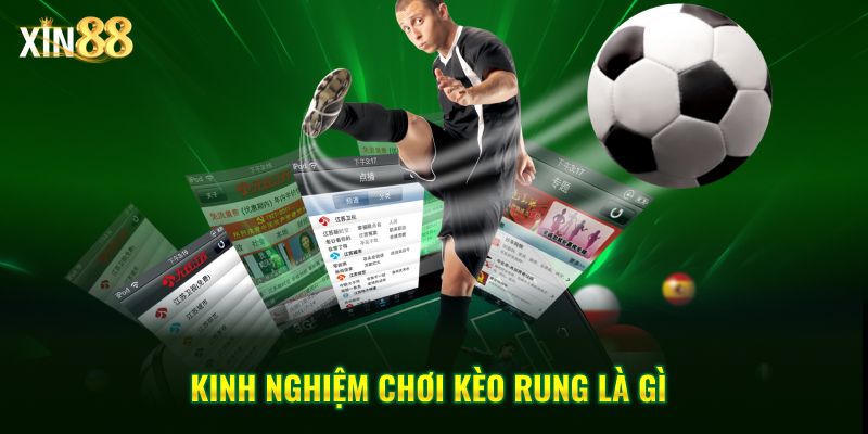 Kèo rung là gì? Hướng dẫn cách bắt kèo hiệu quả tại Xin88 4 kèo rung là gì 4
