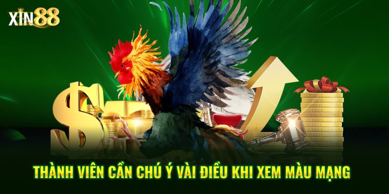 Màu mạng gà đá và cách ứng dụng ngũ hành khi đặt cược đá gà tại Xin88 4 màu mạng gà đá 4
