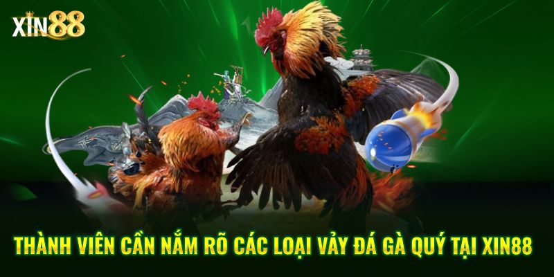 Các loại vảy đá gà quý và cách chọn chiến kê hiệu quả tại Xin88 2 các loại vảy đá quý 2