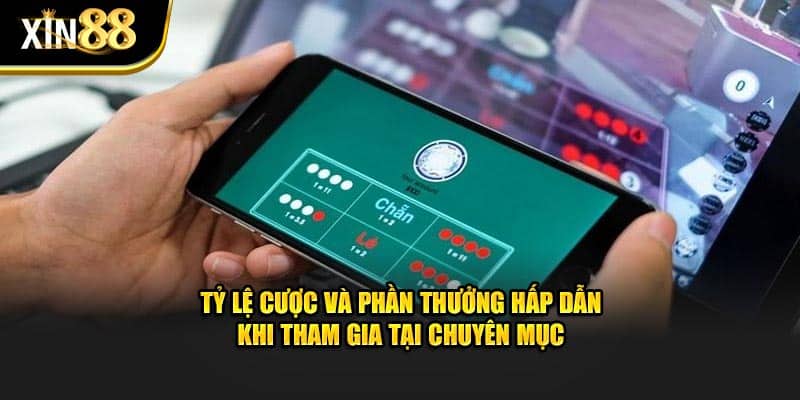 Hướng dẫn chơi xóc đĩa trực tuyến tại XIN88: Luật chơi và cách tham gia 3 xóc đĩa trực tuyến 3